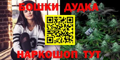 Альфа ПВП Обь
