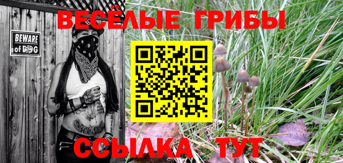 Тула  Галлюциногенные грибы мицелий  Галлюциногенные грибы мицелий  Вход с VPN 